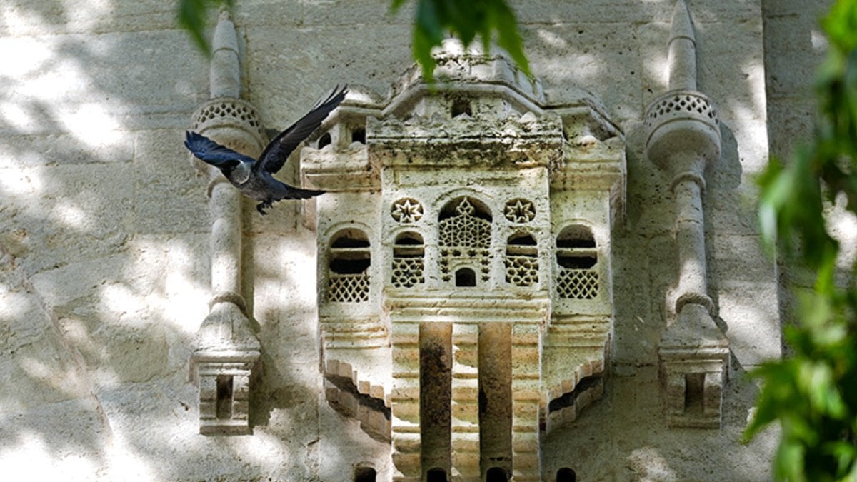 Osmanlı medeniyetinin merhamet simgesi: 5 asırlık kuş sarayları