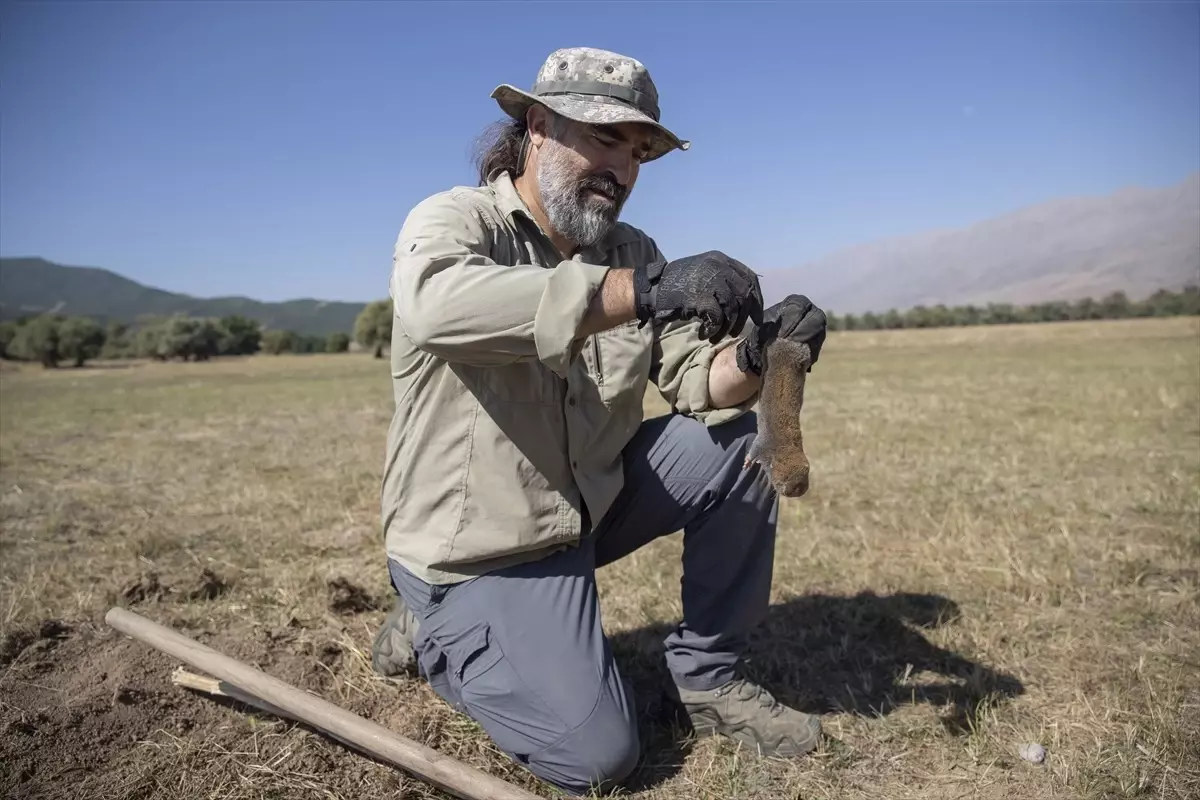 Akademisyen Ferhat Matur, Tunceli’de Kör Fareler Üzerine Araştırmalar Yapıyor