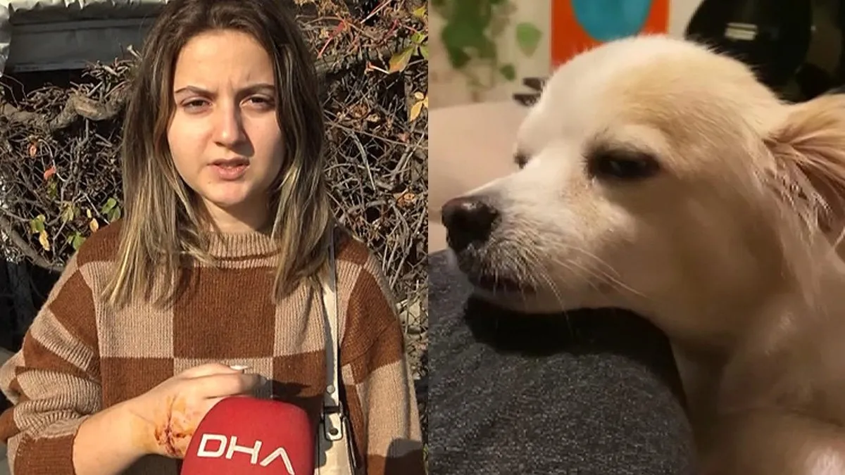 Avcılar’da pitbull dehşeti! “Önce bana sonra da…”