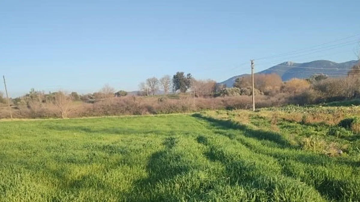 Milas Kuzyaka Ovası Büyük Ova Koruma Alanı olarak belirlendi